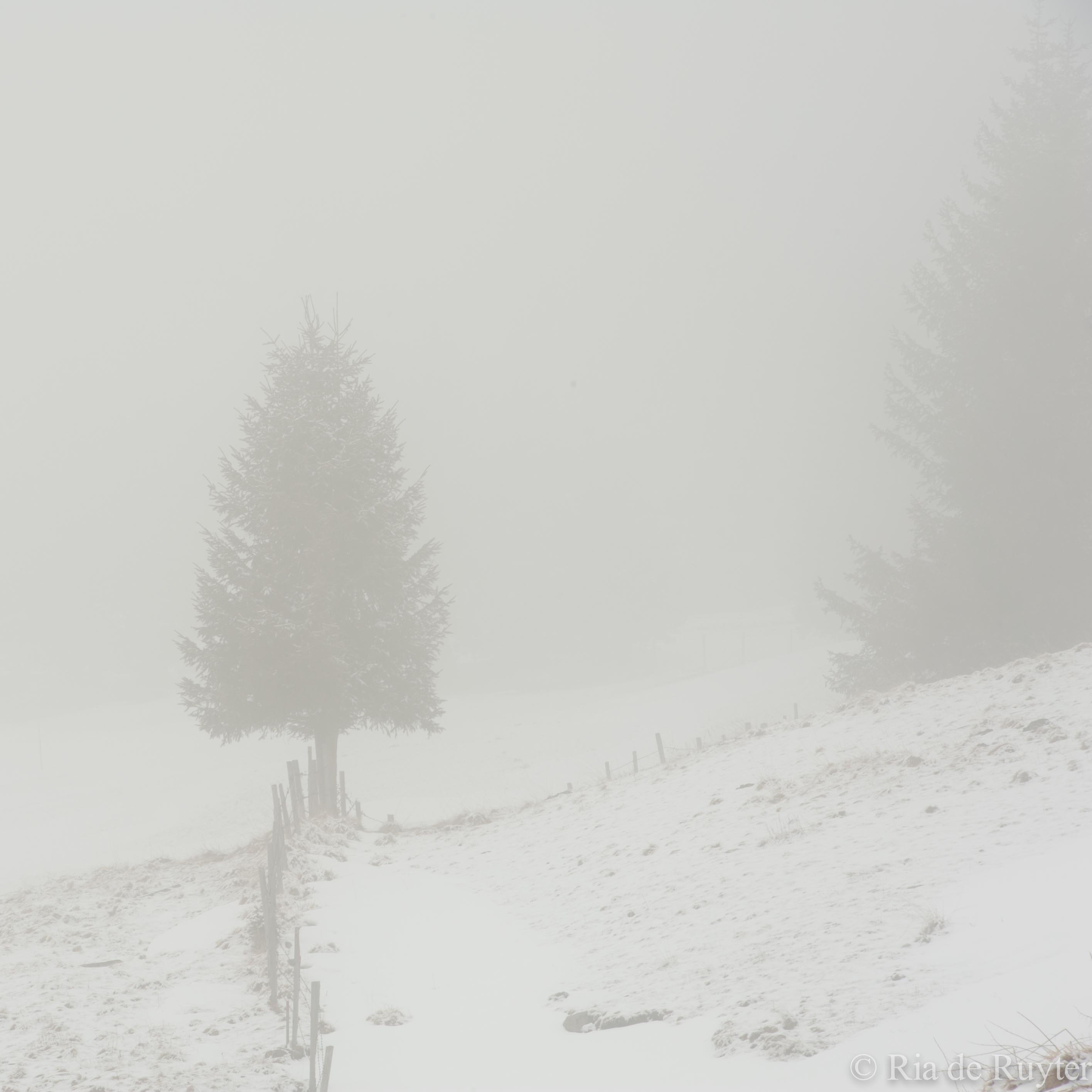 Oostenrijk mist-0308.jpg